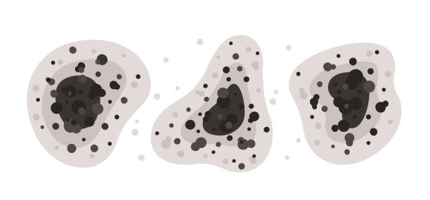 Best Air Quality Testing for Mold Spores  in Hughesville, MD