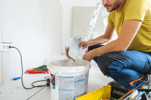 Best Black Mold Removal  in Hughesville, MD