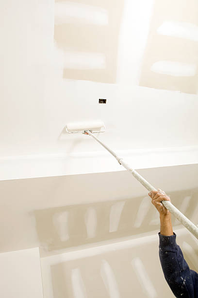 Professional Mold Removal in Hughesville, MD