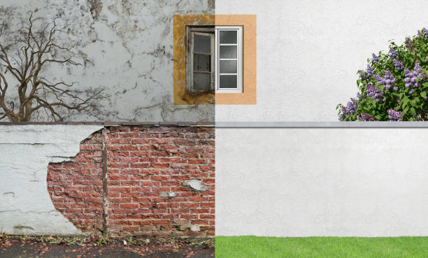 Environmental Consulting for Mold Prevention in Hughesville, MD